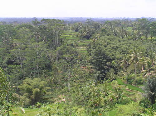 2005_indonesiatrip_318_2